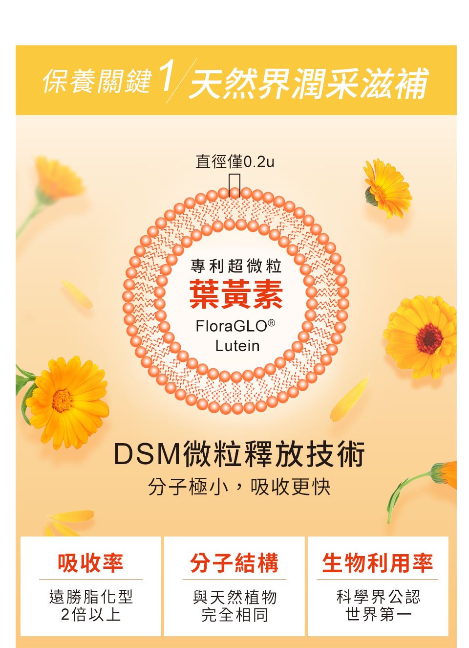 適合全年齡視力保健